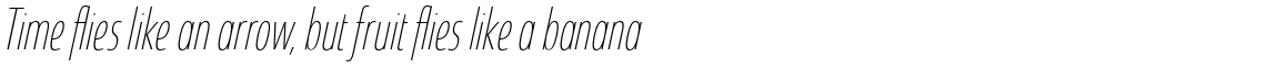 Coegit Condensed Thin Italic