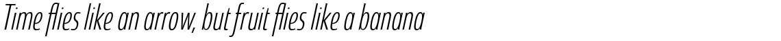 Coegit Condensed Light Italic