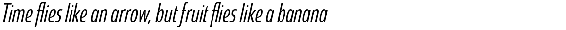 Coegit Condensed Regular Italic