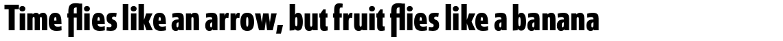 Coegit Condensed Bold