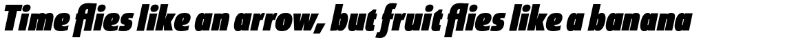 Coegit Black Italic