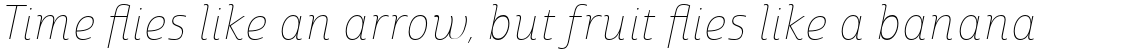 Marintas Thin Italic