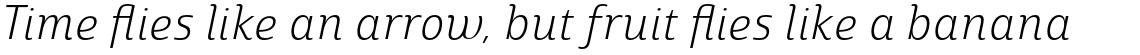 Marintas Light Italic