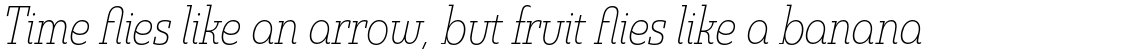 Madurai Slab Condensed Thin Italic