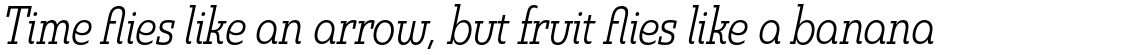 Madurai Slab Condensed Book Italic