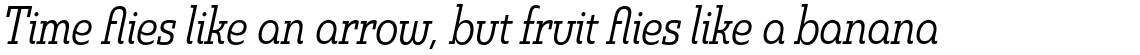 Madurai Slab Condensed Regular Italic
