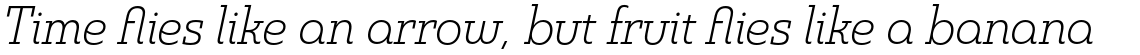 Madurai Slab Normal Light Italic