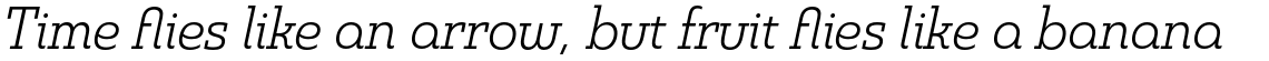Madurai Slab Normal Book Italic