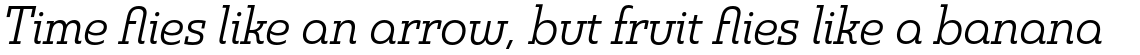 Madurai Slab Normal Regular Italic