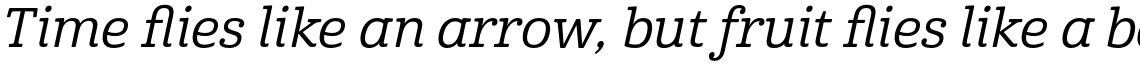 Cabrito Nor Medium Italic
