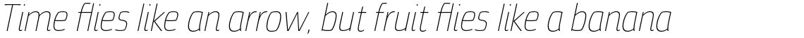 Torcao Con Thin Italic