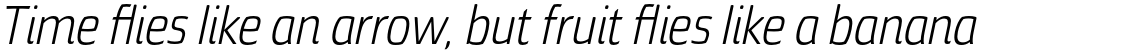 Torcao Con Book Italic