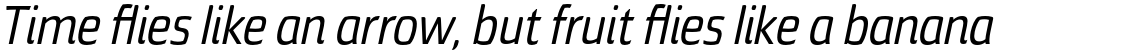 Torcao Con Medium Italic