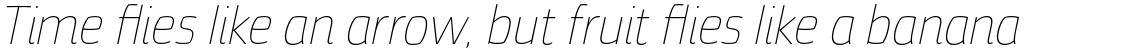 Torcao Nor Thin Italic