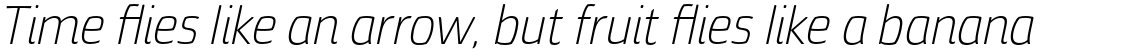 Torcao Nor Light Italic