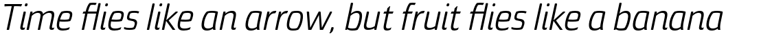 Torcao Nor Regular Italic