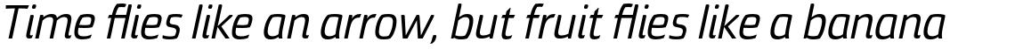 Torcao Nor Medium Italic
