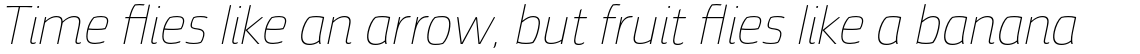 Torcao Ext Thin Italic