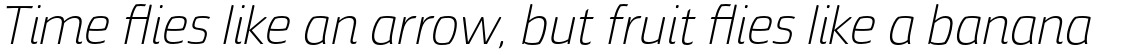 Torcao Ext Light Italic