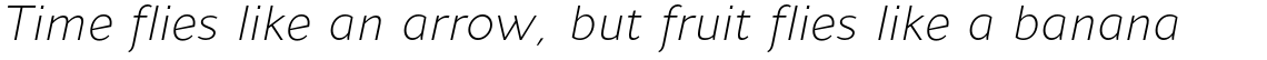 Andis Light Italic
