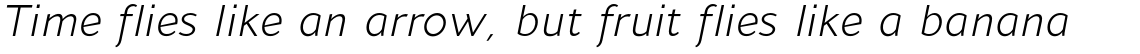 Andis Regular Italic