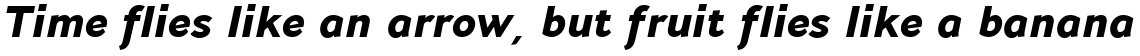 Andis Black Italic