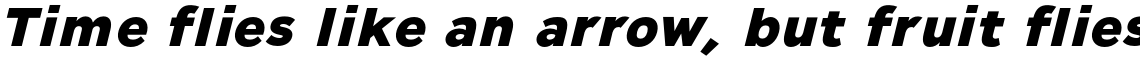 Leonor ExtraBold Italic