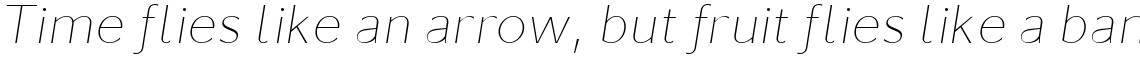 Koya Sans Thin Italic