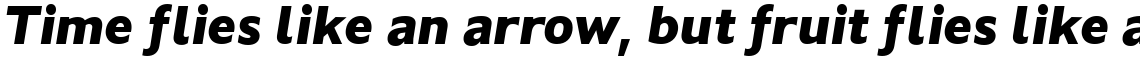 Koya Sans Black Italic