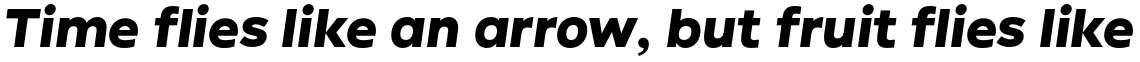 Ondo Bold Italic