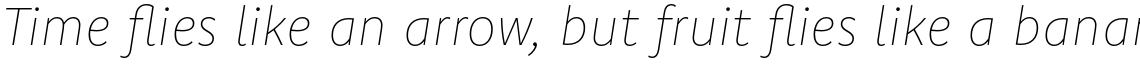 Komet Thin Italic