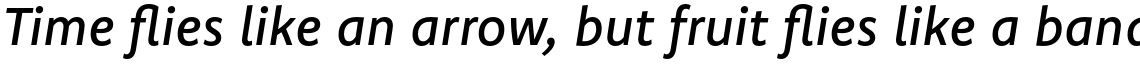 Komet Pro Medium Italic
