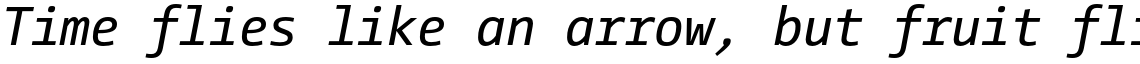 Camingo Mono Regular Italic