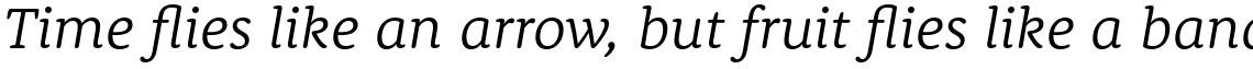 Rooney Pro Light Italic