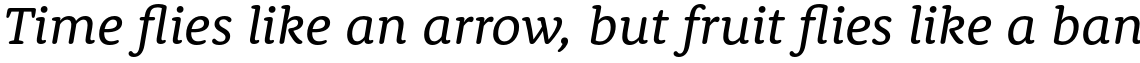 Rooney Pro Regular Italic