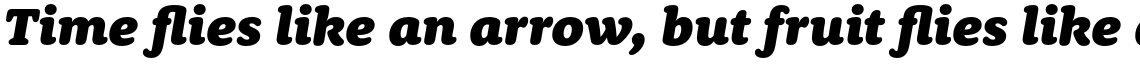 Rooney Pro Black Italic