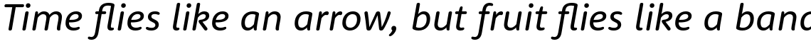 Rooney Sans Regular Italic