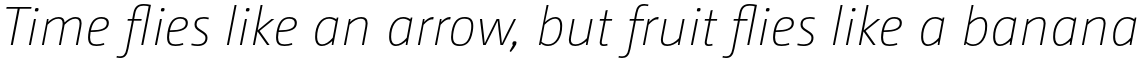 CamingoDos Extra Light Italic (PRO)
