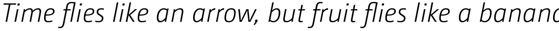 CamingoDos Light Italic (PRO)
