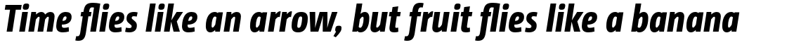 CamingoDos Condensed Extra Bold Italic
