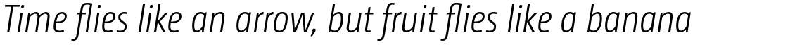 CamingoDos Condensed Light Italic (PRO)