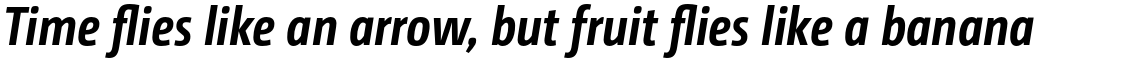 CamingoDos Condensed Bold Italic (PRO)