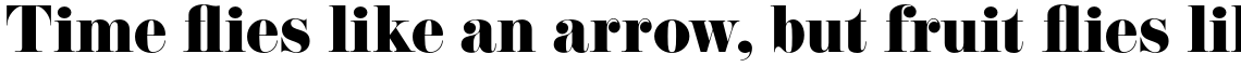 EloquentJF Pro Regular
