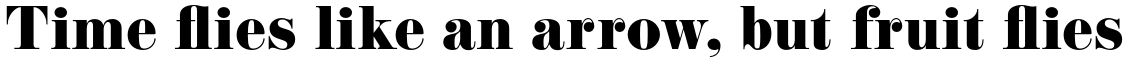 EloquentJF Pro Caption