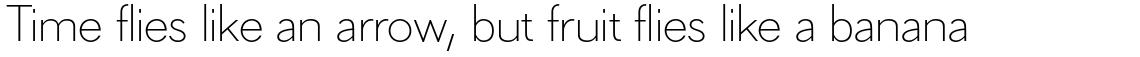 Hilton Sans
