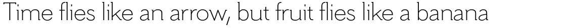 Hilton Serif