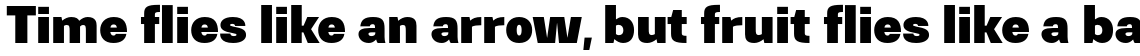 Gerlach Sans 800 (Black)