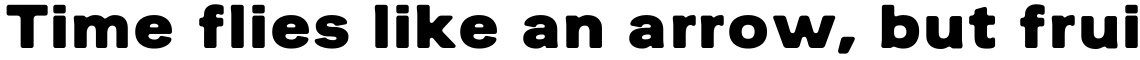 Bogosapien Bold Rounded