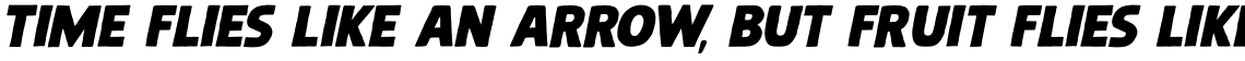 Steinwald Italic