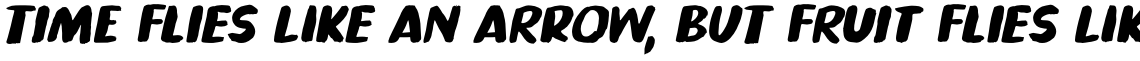 Fortune Teller Italic